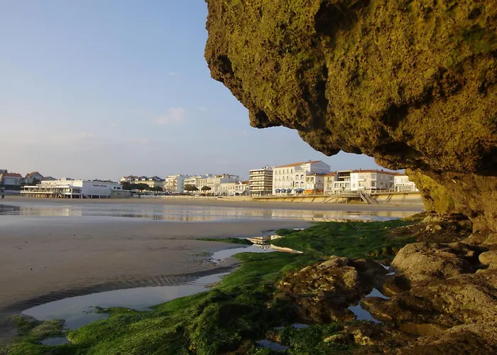 Ponta *