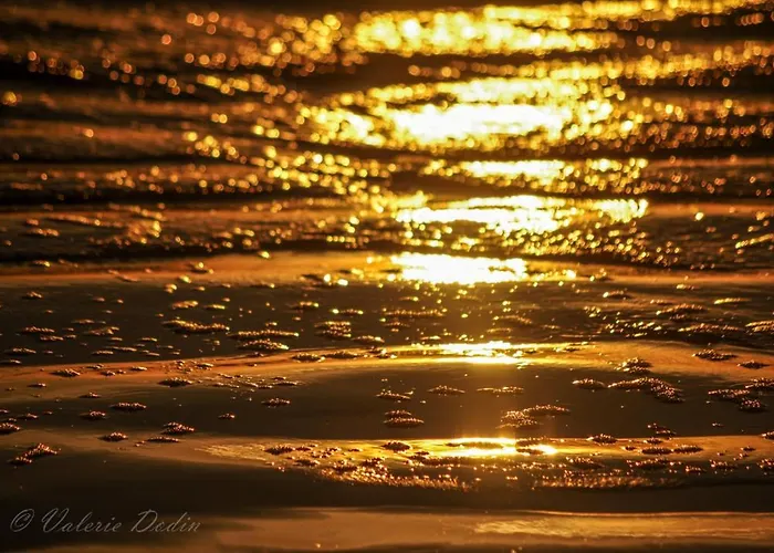 Ponta * Royan